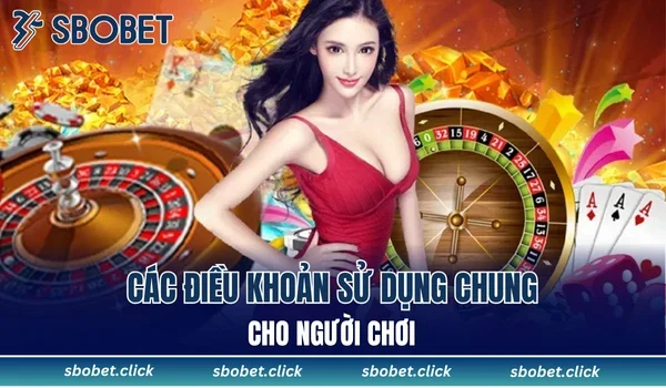 Các điều khoản sử dụng chung cho người chơi