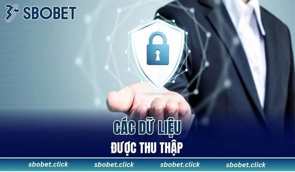 Các dữ liệu được thu thập