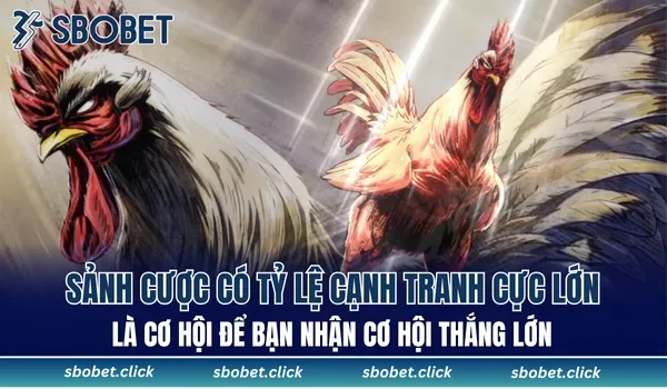 Sảnh cược có tỷ lệ cạnh tranh cực lớn, là cơ hội để bạn nhận cơ hội thắng lớn